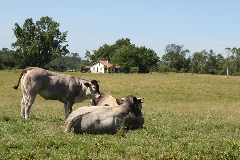 A Serres-Gaston, circuit de Lesgouarrigues, Serres-Gaston - photo 2