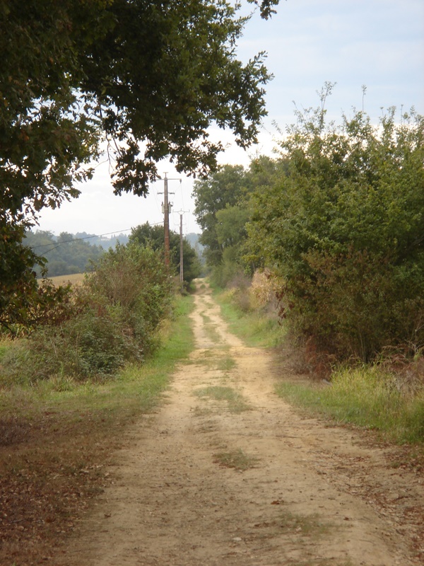 A Brassempouy, circuit de Gachon, Brassempouy - photo 2