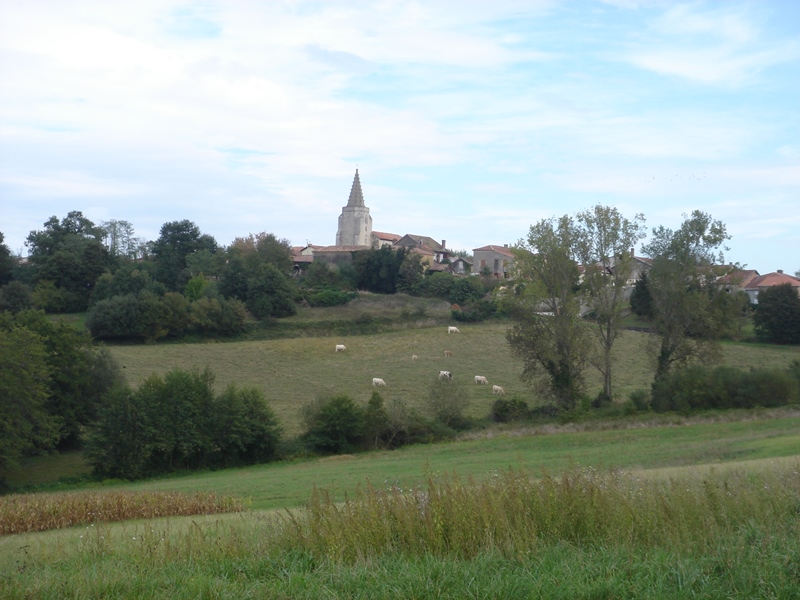 A Brassempouy, circuit de Lamude