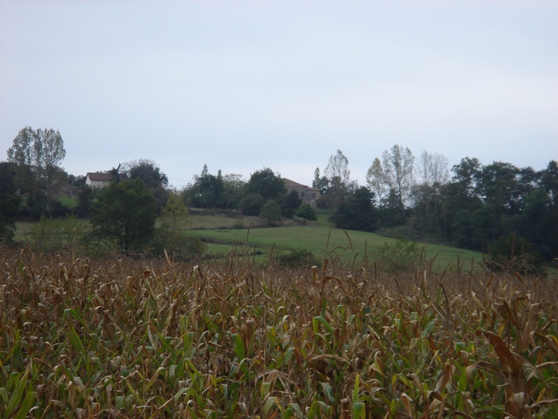 A Brassempouy, circuit des landes de Herrères