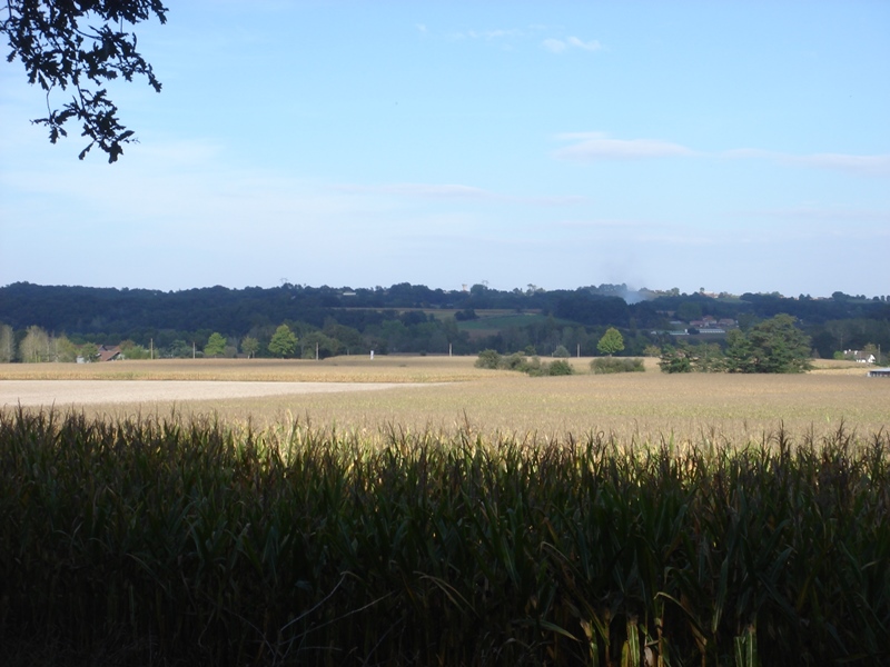 A Amou, circuit du ruisseau des landes d'Andriaou