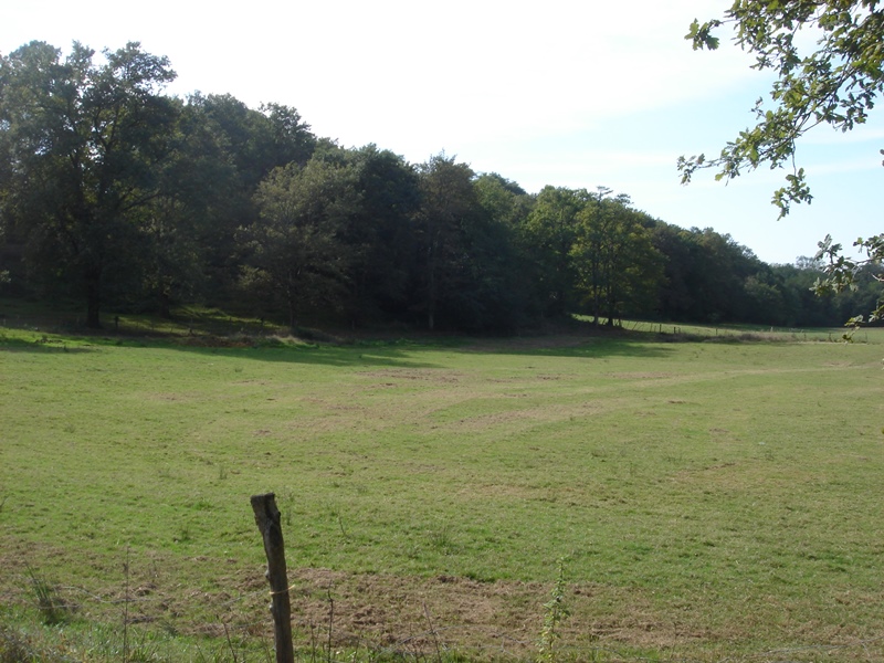 A Amou, circuit du moulin d'Arripot — Randonnées pédestres à Landes