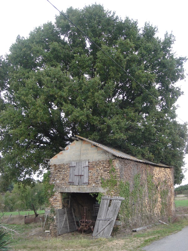 A Argelos, circuit entre Bassercles et Beyries