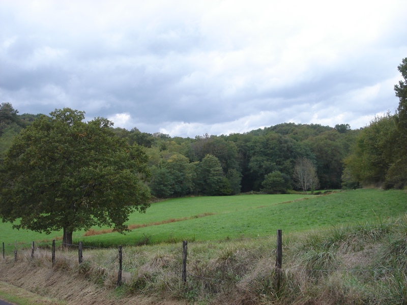 A Argelos, circuit entre Bassercles et Beyries, Argelos - photo 2