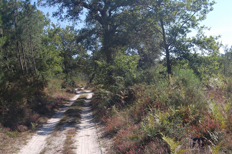 A Léon, circuit des airials, Léon - photo 4
