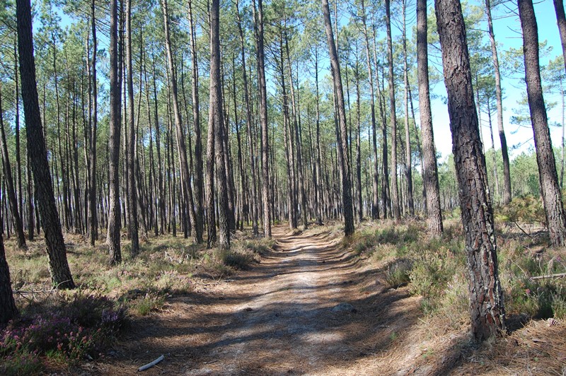 A Léon, circuit des airials, Léon - photo 2