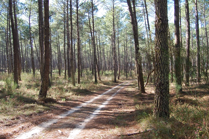 A Lit et Mixe, circuit du Cap de l'Homy, Lit-et-Mixe - photo 2