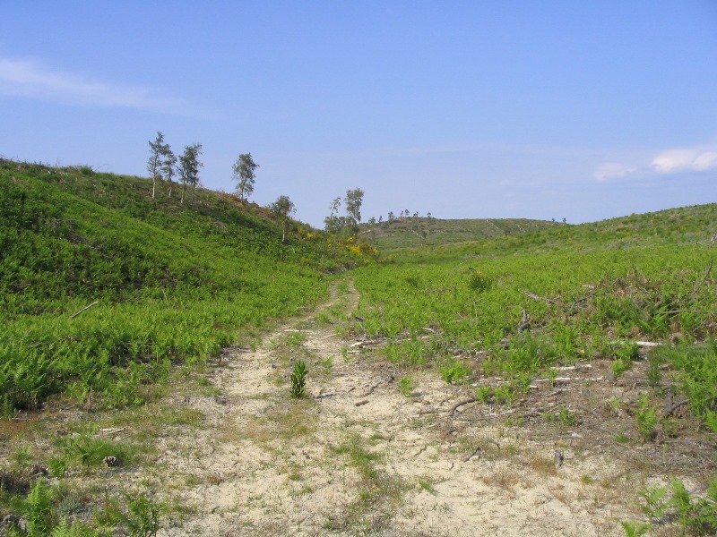 A Lit et Mixe, circuit du Cap de l'Homy, Lit-et-Mixe - photo 4