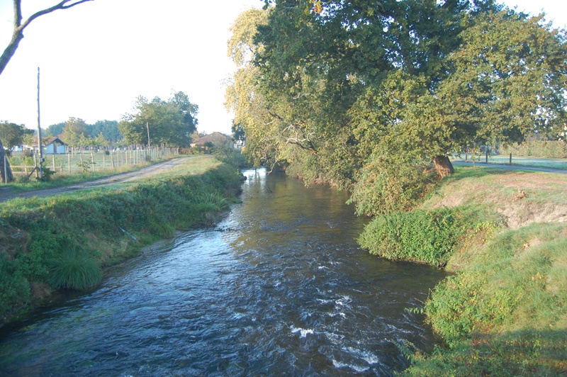 A Saint-Julien-en-Born, circuit du Courant de Contis et de la Plaine de Sable Blanc — photo 2