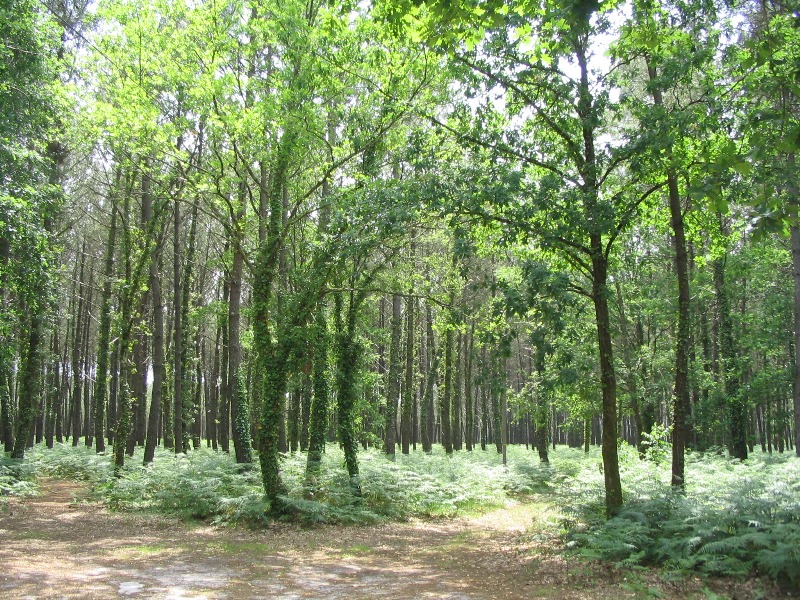 A Taller, circuit à la découverte de "Lo Camin de Hé"