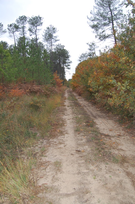 A Taller, circuit à la découverte de "Lo Camin de Hé", Taller - photo 3