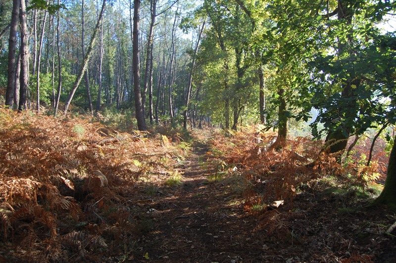 A Vielle-Saint-Girons, circuit des Tucs - photo 2