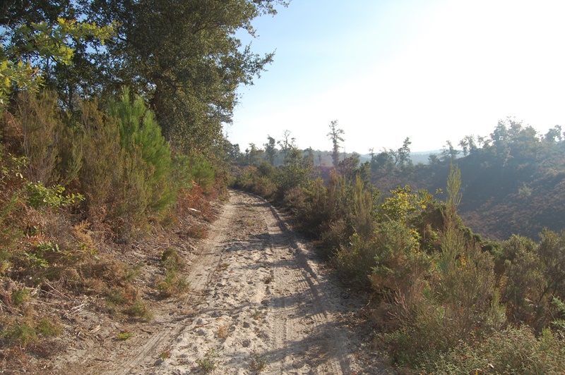 A Vielle-Saint-Girons, circuit des Bareuyes