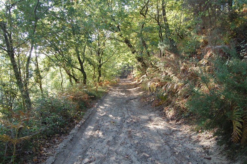A Vielle-Saint-Girons, circuit des Bareuyes - photo 4