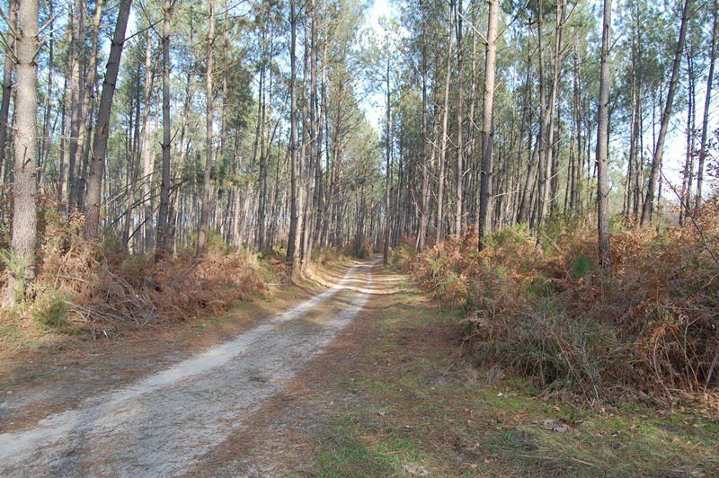 A Lévignacq, circuit du Moulin Neuf, Lévignacq - photo 2