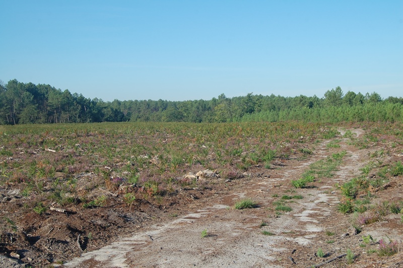 A Lévignacq, circuit de Barzague, Lévignacq - photo 4