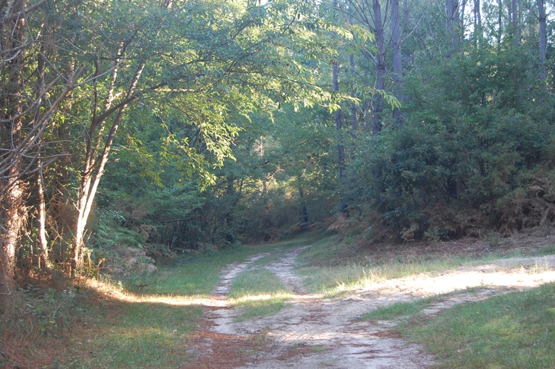 A Lévignacq, circuit de Barzague, Lévignacq - photo 3