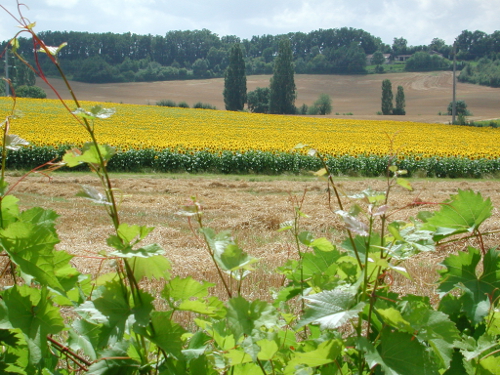 Montaut, la balade du prieuré