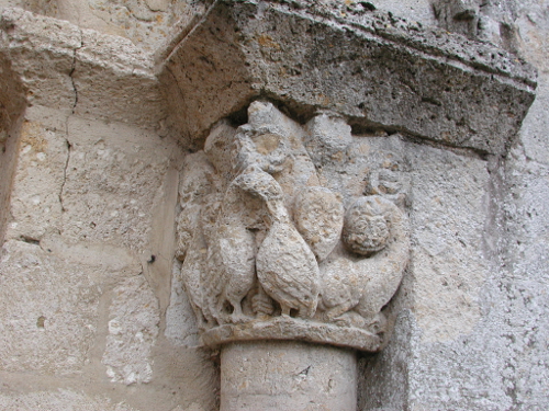 Aubiac, une balade nature en Bruilhois, Aubiac - photo 3