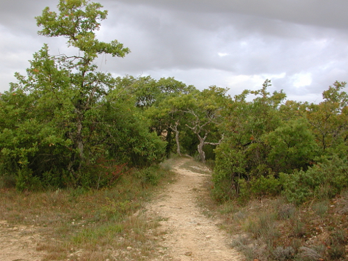Clermont-Soubiran, aux portes du Tarn-et-Garonne, Clermont-Soubiran