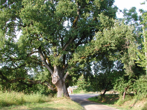 Pont-du-Casse / Darel, une boucle nature