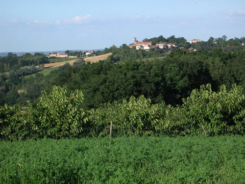 Cuq / Fals, un circuit de randonnée en Gascogne, Cuq - photo 3