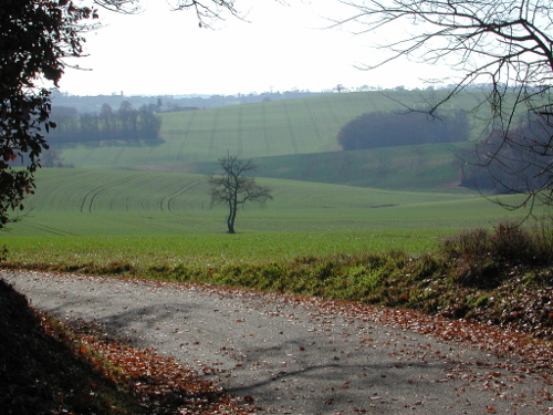 Marmont-Pachas, sur le GR 652 des pélerins de St-Jacques, Marmont-Pachas - photo 2