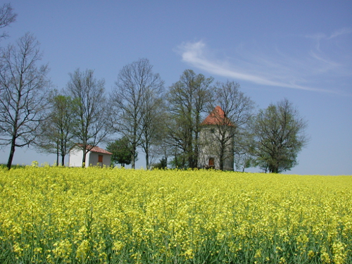 Saint-Caprais-de-Lerm, dans les coteaux de l'Agenais