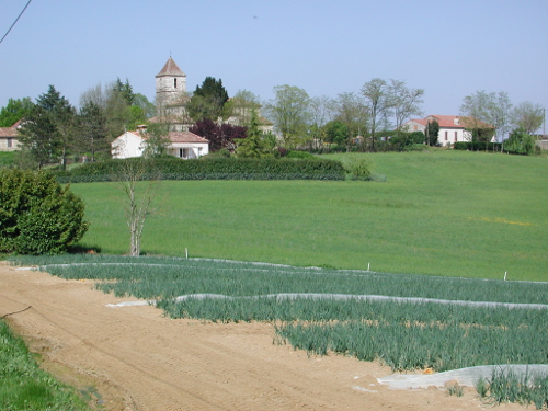 Brimont, une autre église de Laplume, Laplume - photo 3