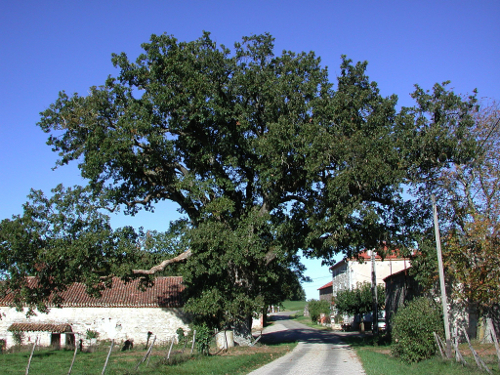 Saint-Romain-le-Noble, une succession de panoramas, Saint-Romain-le-Noble