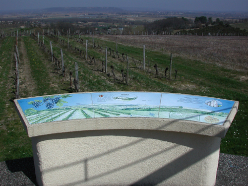 St-Pierre-de-Buzet, la randonnée du Cap-du-Bosc, Saint-Pierre-de-Buzet - photo 3