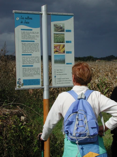 Jusix, presqu'île de Garonne, Jusix - photo 3