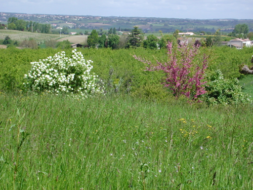 Lévignac-de-Guyenne, la balade de la bastide