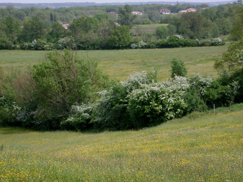La boucle de Saint-Pardoux-Isaac, Saint-Pardoux-Isaac