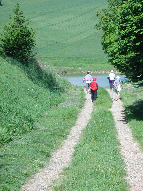 Seyches, un circuit dans les bois des Rivailles, Seyches - photo 12