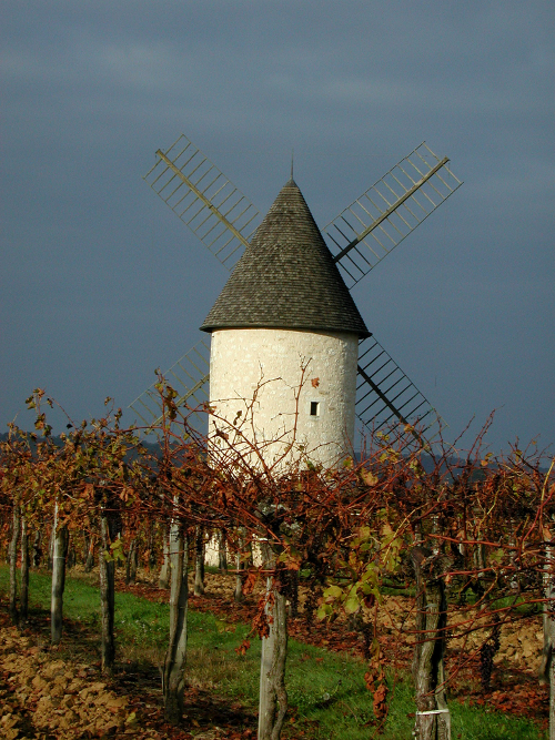 Saint-Astier-de-Duras, à travers vignobles et vergers de Duras, Saint-Astier