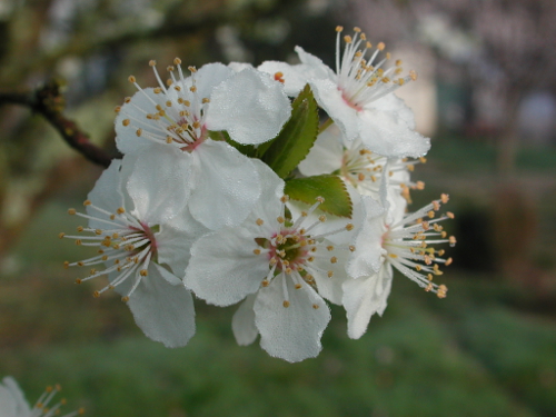 Bonneval, le circuit des trois églises, Hautefage-la-Tour - photo 3