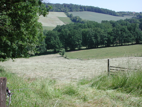 Villeneuve-sur-Lot / Courbiac, les Bastides en point de mire