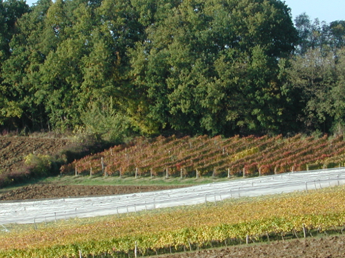 Les deux boucles de Frégimont, Frégimont - photo 2