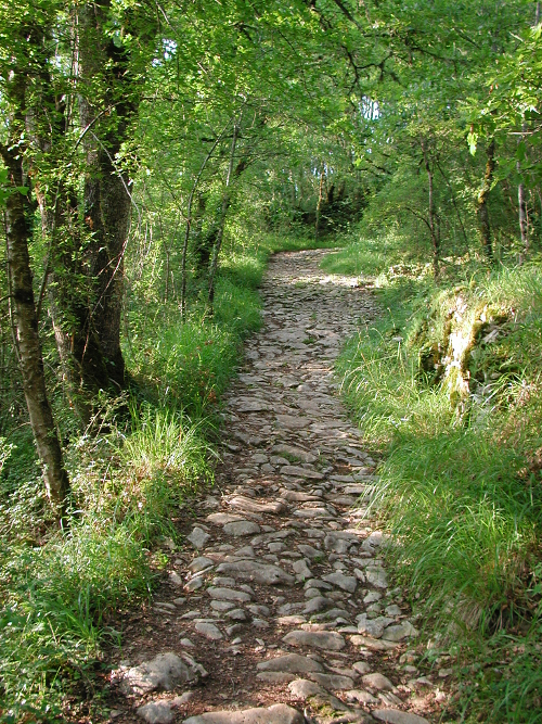 Gavaudun, dans la vallée de la Lède, Gavaudun - photo 4