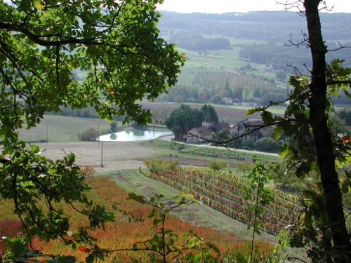 Montpezat-d'Agenais, par St-Médard et Saint-Jean-de-la-Balerme, Montpezat - photo 13