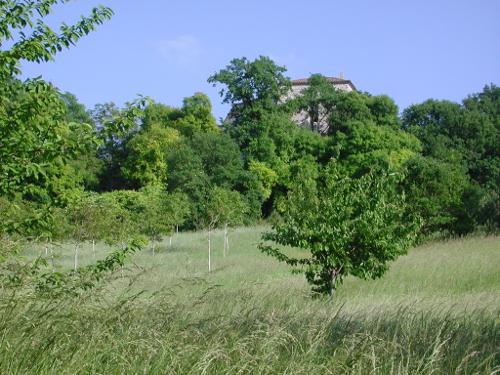 Saint-Germain, l'autre colline de Villeneuve-sur-lot, Villeneuve-sur-Lot - photo 3