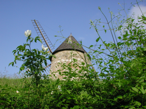 Tourtrès, du pech du moulin à vent au bois de Verteuil, Tourtrès - photo 2