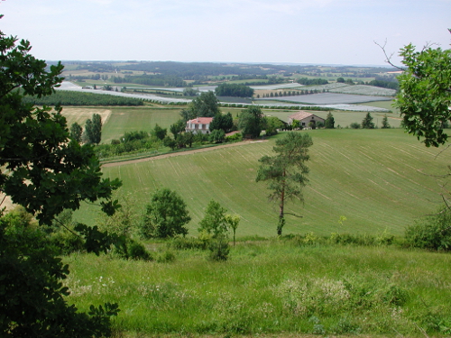 Tourtrès, du pech du moulin à vent au bois de Verteuil, Tourtrès - photo 4