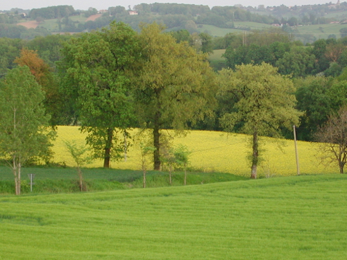 Laugnac, un sentier nature dans les Serres, Laugnac - photo 3