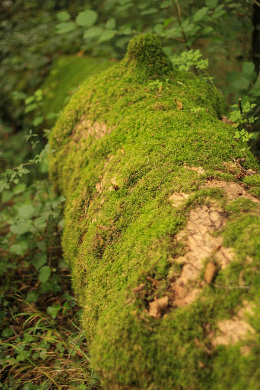 De Xaintrailles à Pompiey, lectures de paysage, Xaintrailles - photo 14