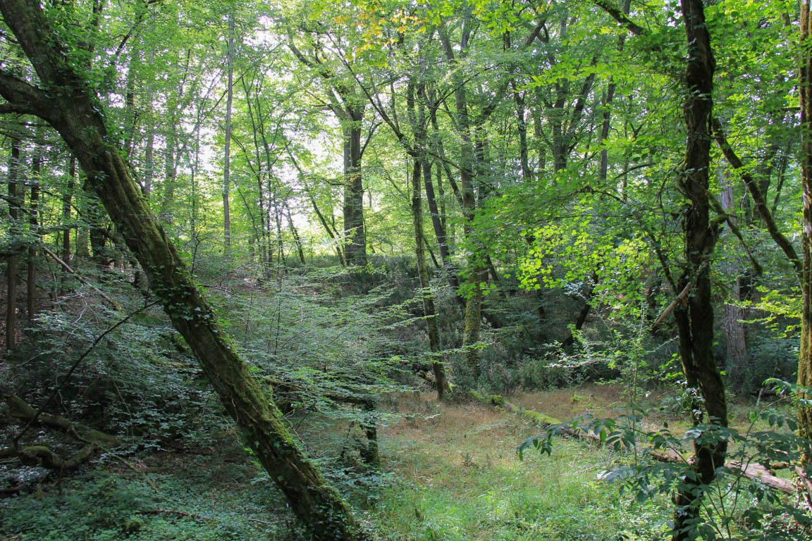De Xaintrailles à Pompiey, lectures de paysage, Xaintrailles - photo 8
