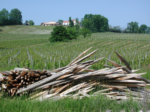 Cocuthmont la vinherona, a l’entremièi de Garona e Gasconha, Cocumont - photo 11