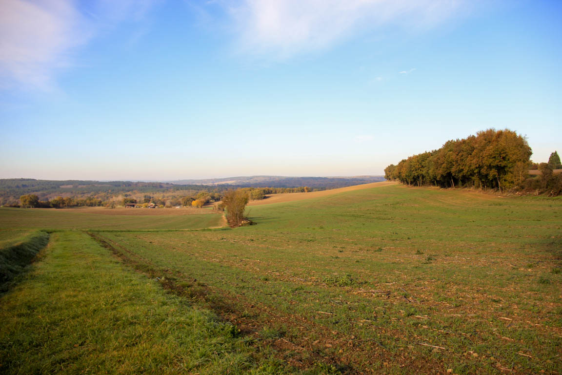 Nérac, vers Mézin, avec le petit train touristique, Nérac - photo 5