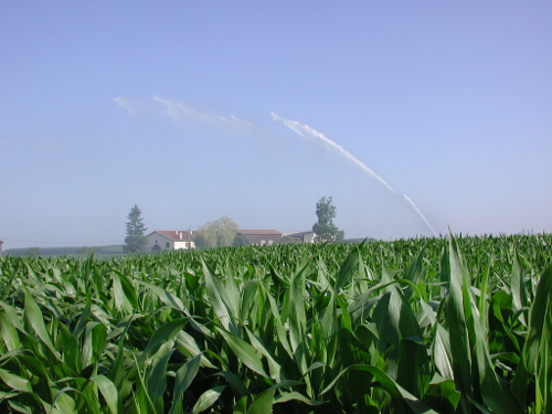 Lagruère, promenade sur les berges de Garonne